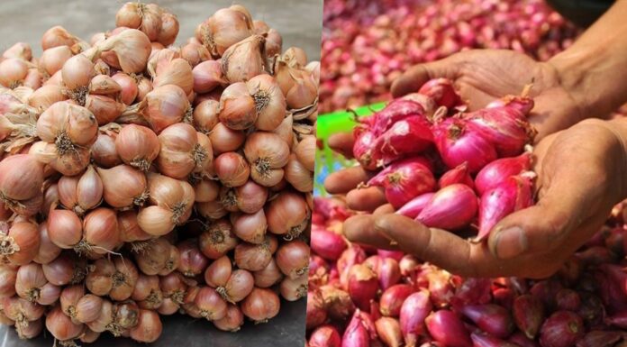 The Ultimate Guide to Preserving Onions: A Crisp, Tangy Treat that Stays Fresh for Weeks.