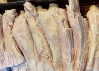 “The Chewy Delight: A bovine’s stubborn treat, a bargain at half the price of meat, yet touted as a ‘premium ginseng’ delicacy, only the discerning epicurean knows to indulge.”