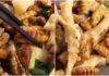 The Ultimate Guide to Stir-Fried Silkworm Pupae and Bamboo Shoots: A Delicious Family Meal