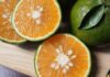 The Ultimate Guide to Buying Oranges: A Quick and Easy Way to Spot the Difference Between Vietnamese and Chinese Oranges