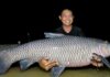 What is Black Carp? Characteristics of Black Carp.