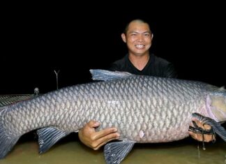 What is Black Carp? Characteristics of Black Carp.