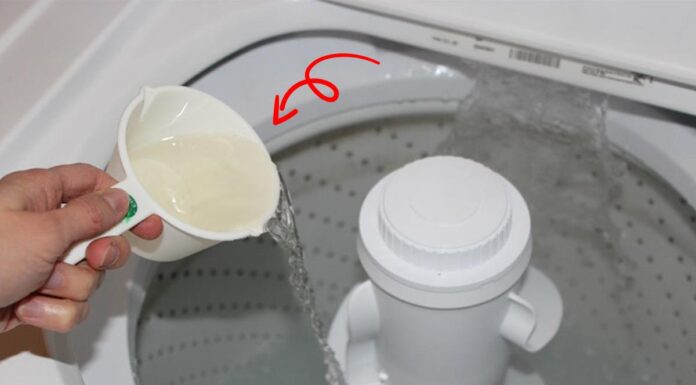 The Ultimate Guide to Laundry: 4 Tips for Sparkling Clean and Fragrant Clothes