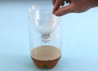 The Secret Weapon Against Mosquitoes: Lure and Conquer.