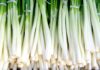 The Secret to Keeping Spring Onions Fresh for Up to Six Months: A Simple Trick to Prevent Wilt and Discoloration