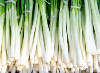 The Secret to Keeping Spring Onions Fresh for Up to Six Months: A Simple Trick to Prevent Wilt and Discoloration