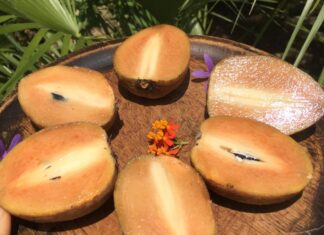 The Perfect Ripe Jackfruit: A Guide to Picking the Sweetest Treat