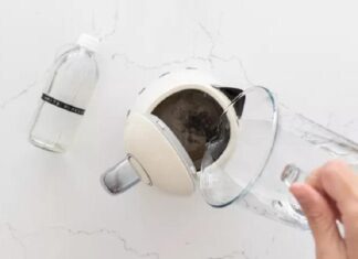 “The Surprising New Life of Your Half-Drunk Coca-Cola”