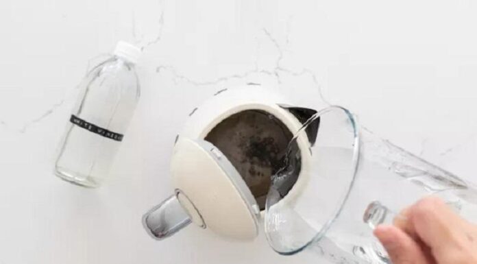 “The Surprising New Life of Your Half-Drunk Coca-Cola”