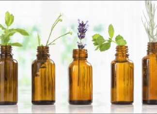 The 7 Scents That Repel Mosquitoes: A Natural Repellent Found in Every Kitchen