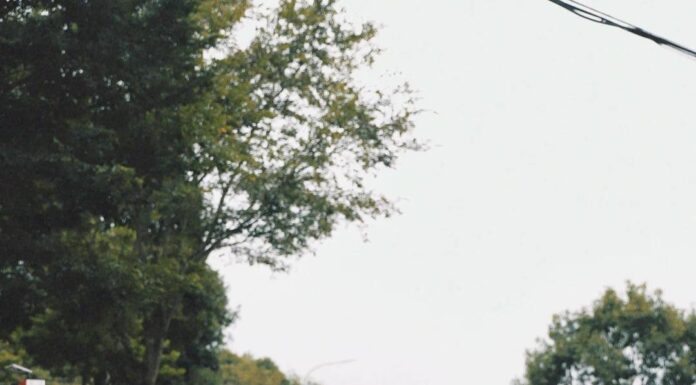 The Ultimate Guide to Shirt Styles for Fall-Winter 2024: Effortlessly Chic with Pants or Skirts