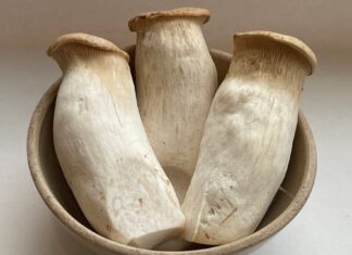 Unlock the Secrets to Selecting the Finest Mushrooms: 5 Tips to Ensure You Pick the Tastiest Button Mushrooms, Even the Vendors Will Be Impressed!