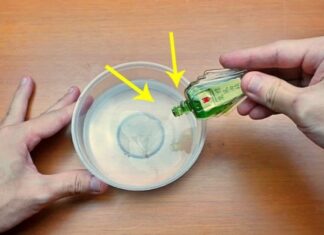 The Magic Drop: A Toilet Bowl Freshener Trick You Need to Know