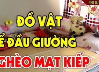 The 3 Things That Bring Debt to Your Bedside and the 2 Things That Bring Prosperity to Your Home: A Guide to Sleeping Your Way to Success.