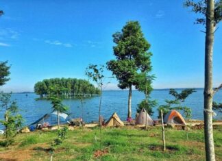 Uncover 3 ‘Healing’ Getaways Near Ho Chi Minh City on a Budget