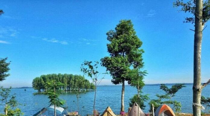 Uncover 3 ‘Healing’ Getaways Near Ho Chi Minh City on a Budget