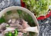 Unveiling the Secrets of Bún Chìa: A Culinary Journey into the Heart of Buôn Ma Thuột