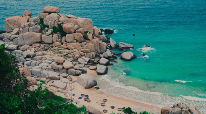 The Ultimate Ninh Thuan Travel Guide: Discover the “Mini Desert” by the Sea and Explore Sand Dunes by Tractor