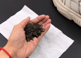 The Secret to Odor-Free Shoes: A Sprinkle of Magic to Keep Your Feet Fresh All Day Long