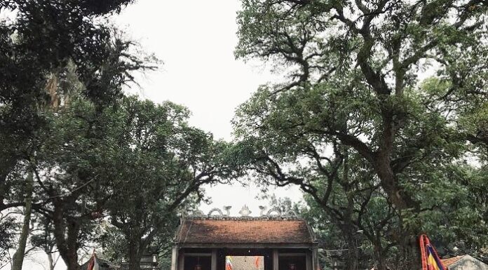 Exploring Hanoi: A Weekend Adventure Along the Hong River