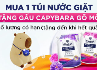 Get Your Hands on Comfort Detergent and an Adorable Capybara Maraca Toy!