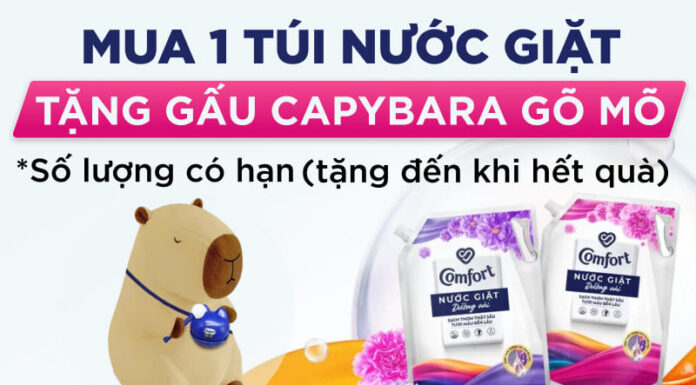 Get Your Hands on Comfort Detergent and an Adorable Capybara Maraca Toy!