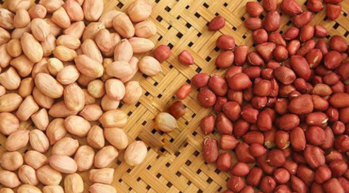 The Secret to Keeping Fried Shallots Crisp and Fresh: A Pro Chef’s Guide