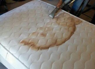 The Ultimate Guide to Refreshing Your Cushions: A No-Wash, Effortless Cleaning Solution