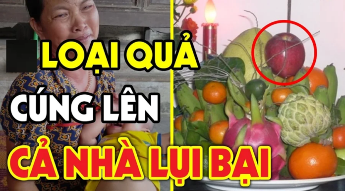 The 5 Types of Fruits: Delicious, Visually Appealing, but Historically Avoided for Incense Burning.