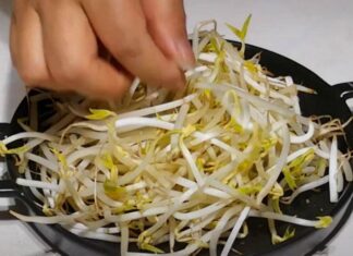 The Ultimate Summer Coolant: A White Vegetable Delight