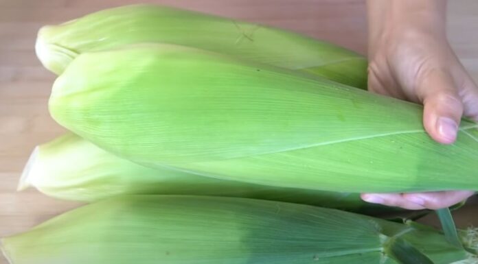 The Secret to Perfectly Sweet and Tender Boiled Corn: A Tasty Treat Without the Sugar Rush