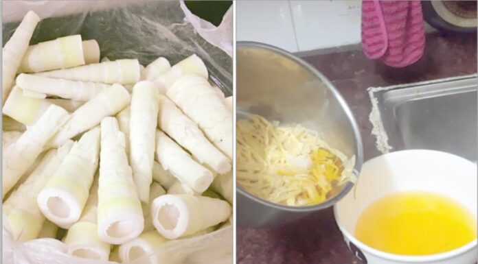 “The Ultimate Guide to Detoxifying Cassava: A Must-Read for All”