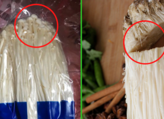 “The Secret to Selecting the Perfect Mushroom: Focus on the Stem.”