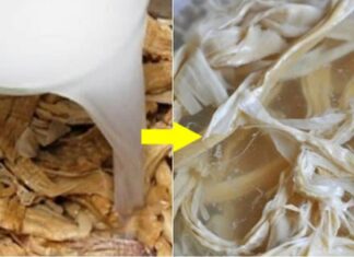 Soaking Dried Bamboo Shoots in Tap Water is Wrong: Use This Liquid Instead to Make Them Tender and Brighter