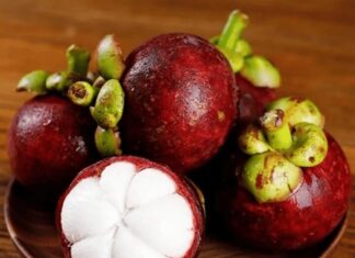 How Long Can You Keep Mangosteen in the Fridge?