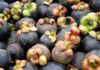 The King of Fruits: How to Pick the Perfect Mangosteen Every Time
With these three simple tips, you’ll be able to select mangosteens that are sweet, juicy, and absolutely perfect every single time. It’s an easy guide to ensuring you get the very best of this delicious tropical fruit.