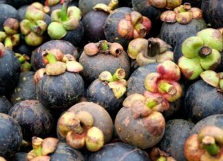 The King of Fruits: How to Pick the Perfect Mangosteen Every Time
With these three simple tips, you’ll be able to select mangosteens that are sweet, juicy, and absolutely perfect every single time. It’s an easy guide to ensuring you get the very best of this delicious tropical fruit.