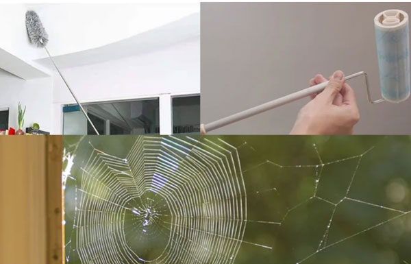 The Ultimate Guide to Spider-Free Living: 5 Quick and Easy Ways to Keep Your Home Arachnid-Free