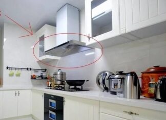 The Secret to a Grease-Free Kitchen: Why Turning Off Your Range Hood Isn’t Enough