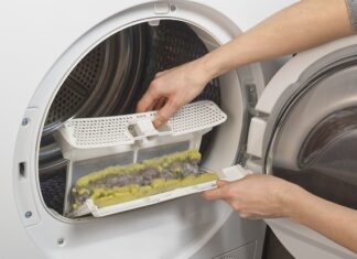 The Great Dryer Beast: A Foul-Smelling Mystery Unraveled