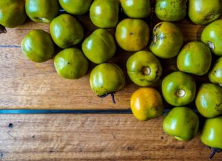 The Ultimate Guide to Choosing the Perfect Preserved Rose: Transforming the Bitter into the Best