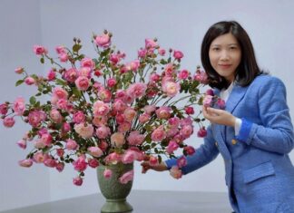 The Ultimate Guide to Cooking a Delectable Pork Blood Soup: A Whiff of Aromatic Bliss That Melts in Your Mouth