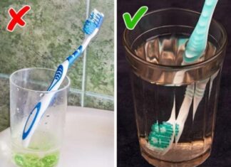 The Ultimate Guide to Oral Hygiene: Don’t Forget This Step Before Brushing Your Teeth and 6 Tips to Sanitize Your Home for the Holidays.