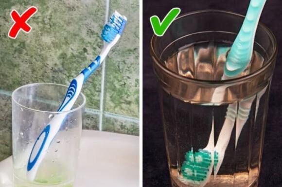 The Ultimate Guide to Oral Hygiene: Don’t Forget This Step Before Brushing Your Teeth and 6 Tips to Sanitize Your Home for the Holidays.