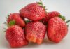 The Ultimate Guide to Strawberry Preservation: Keep Them Fresh for Up to a Year!