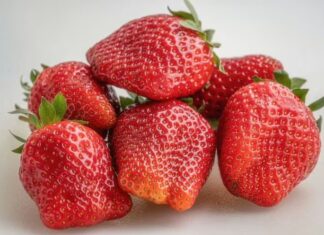 The Ultimate Guide to Strawberry Preservation: Keep Them Fresh for Up to a Year!