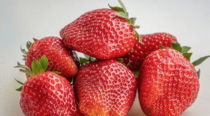 The Ultimate Guide to Strawberry Preservation: Keep Them Fresh for Up to a Year!