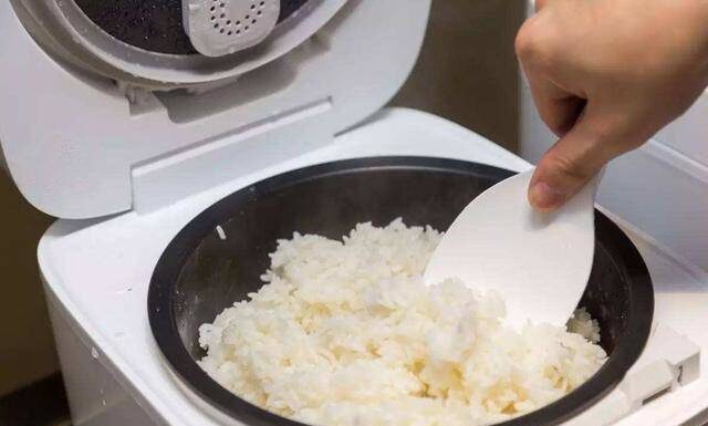 3 Tips to Keep Leftover Rice Fresh and Safe During Summer