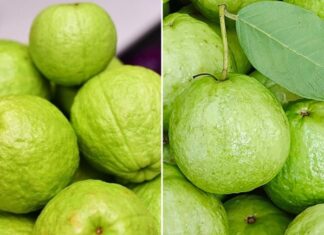 The Ultimate Guide to Picking the Perfect Guava: Crisp, Sweet, and Seedless