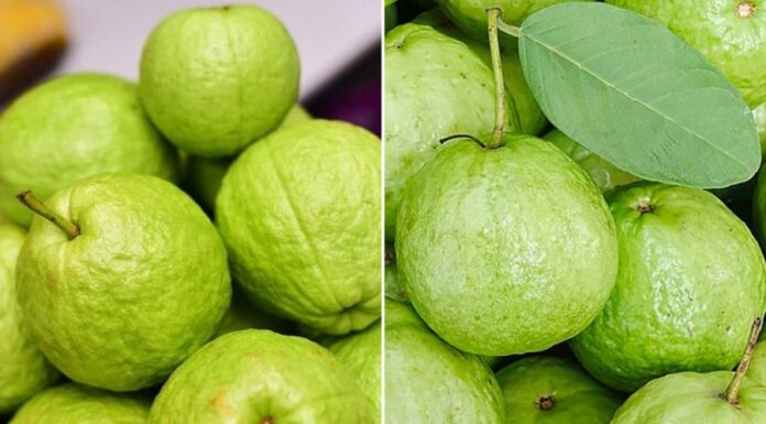 The Ultimate Guide to Picking the Perfect Guava: Crisp, Sweet, and Seedless